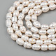 Oval Natural Cultured Freshwater Pearl Beads Strands UK-PEAR-R015-45-8