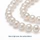 Natural Cultured Freshwater Pearl Beads Strands UK-PEAR-E002-25-2