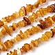 Natural Amber Chip Beads Strands UK-G-E271-81-1