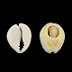 Natural Mixed Cowrie Shell Beads UK-X-BSHE-S053-01-2
