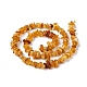 Natural Amber Chip Beads Strands UK-G-E271-81-3