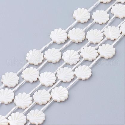Natural White Shell Beads UK-SSHEL-Q298-06-1