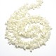Natural White Shell Beads Strands UK-BSHE-O001-B-02-2