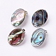 Natural Abalone Shell/Paua ShellOval Clip-on Earrings UK-EJEW-P122-01-3