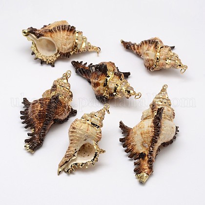 Golden Electroplated Conch Shell Big Pendants UK-BSHE-M016-01-1