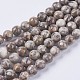 Natural Maifanite/Maifan Stone Beads Strands UK-G-I187-6mm-01-2