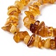 Natural Amber Chip Beads Strands UK-G-E271-81-2