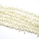 Natural White Shell Beads Strands UK-BSHE-O001-B-02-1