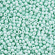 8/0 Opaque Glass Seed Beads UK-SEED-S048-N-008-3