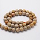Faceted Round Natural Fossil Coral Bead Strands UK-G-L437-03-8mm-2