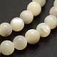 Round White Shell Beads Strands UK-BSHE-N006-02-4mm-2