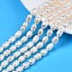 Natural Cultured Freshwater Pearl Beads Strands UK-PEAR-N012-07A-1