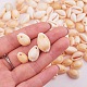 Natural Cowrie Shell Beads UK-BSHE-PH0001-06-4
