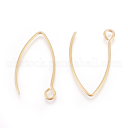 Ion Plating(IP) 304 Stainless Steel Earring Hooks UK-STAS-L216-03A-G-1
