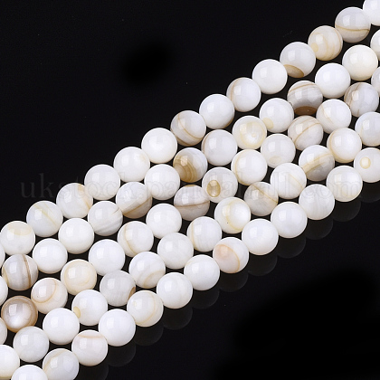 Freshwater Shell Beads Strands UK-SHEL-T011-01-5mm-1