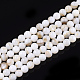 Freshwater Shell Beads Strands UK-SHEL-T011-01-5mm-1