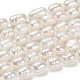 Natural Cultured Freshwater Pearl Beads Strands UK-PEAR-S012-41-5
