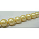 Shell Pearl Beads Strands UK-SP10MM720-K-2