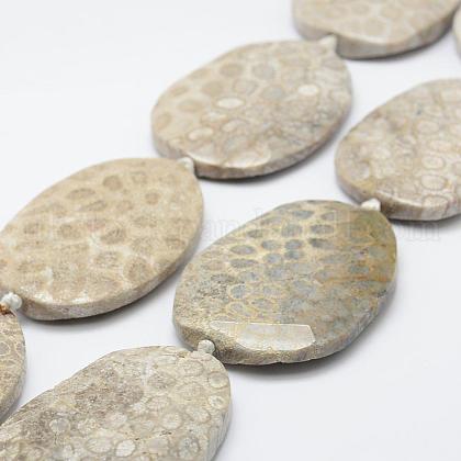 Natural Fossil Coral Beads Strands UK-G-K180-F03-1