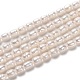 Grade AA Natural Cultured Freshwater Pearl Beads Strands UK-PEAR-L033-65-1