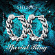 SHEGRACE 925 Sterling Silver Hoop Earrings UK-JE713A-4