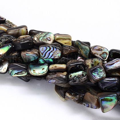 Natural Paua Shell Beads Strands UK-SSHEL-J047-03-1