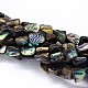 Natural Paua Shell Beads Strands UK-SSHEL-J047-03-1