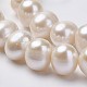 Natural Cultured Freshwater Pearl Beads Strands UK-PEAR-D187-25-3
