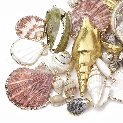Sea Shell Pendants UK-SSHEL-S258-01-1