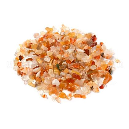 Natural Carnelian Chip Beads UK-G-O103-18-1