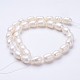 Natural Cultured Freshwater Pearl Beads Strands UK-PEAR-P002-15-2