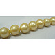 Shell Pearl Beads Strands UK-SP12MM720-K-2