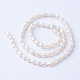 Natural Cultured Freshwater Pearl Beads Strands UK-PEAR-S010-04-2