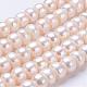 Natural Cultured Freshwater Pearl Beads Strands UK-PEAR-P002-03-1