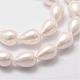 Rainbow Plated Shell Pearl Beads Strands UK-BSHE-L027-01-8x11-3