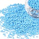 11/0 Grade A Baking Paint Glass Seed Beads UK-X-SEED-N001-A-1019-1