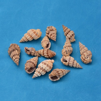 Natural Spiral Shell Beads UK-BSHE-S059-1