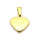Trendy 304 Stainless Steel Blank Heart Pendants UK-STAS-N012-38G-1