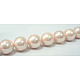 Shell Pearl Beads Strands UK-SP8MM505-K-2